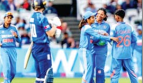 cricket